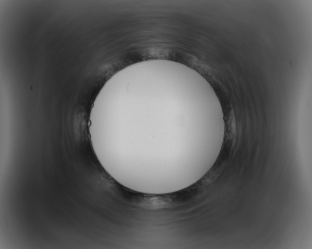 X0000086740522200705041410