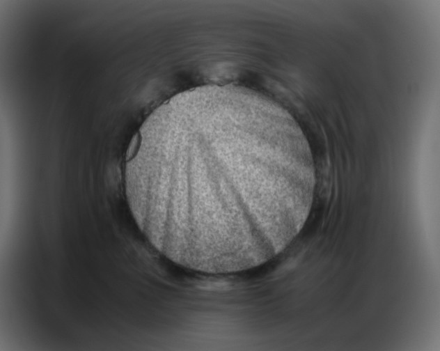 X0000086740523200705041410