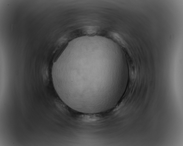 X0000086740524200705041410