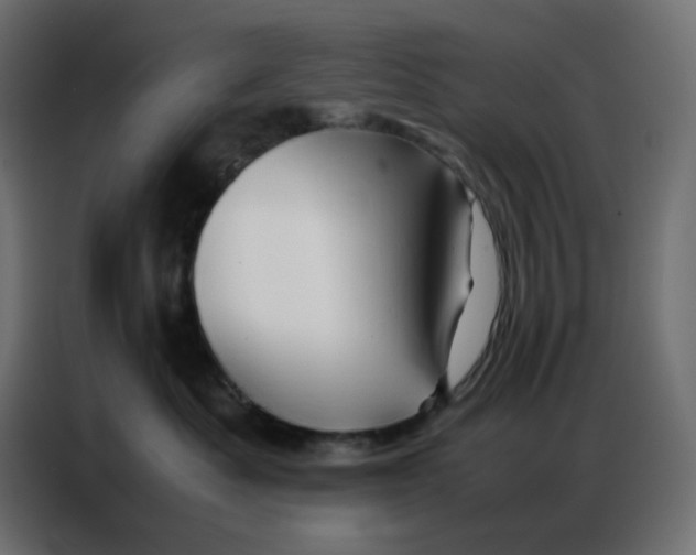 X0000086740525200705041410