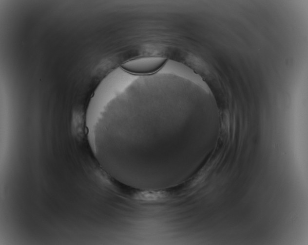 X0000086740526200705041410