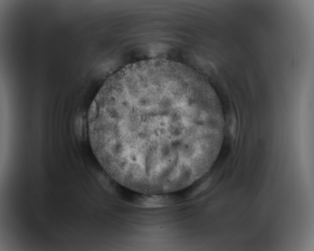 X0000086740527200705041410