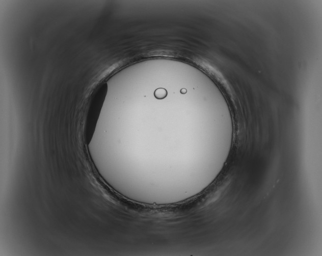 X0000086740529200705041409