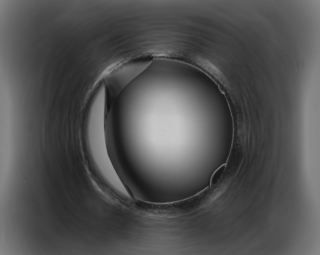 X0000086740530200705041409