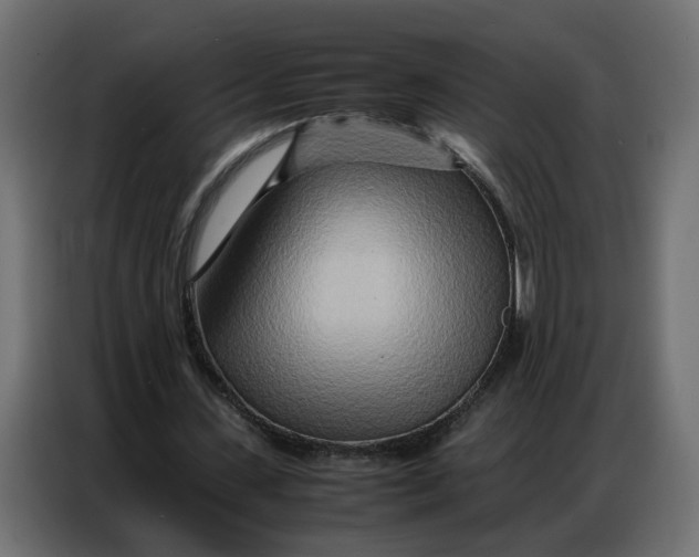 X0000086740531200705041409