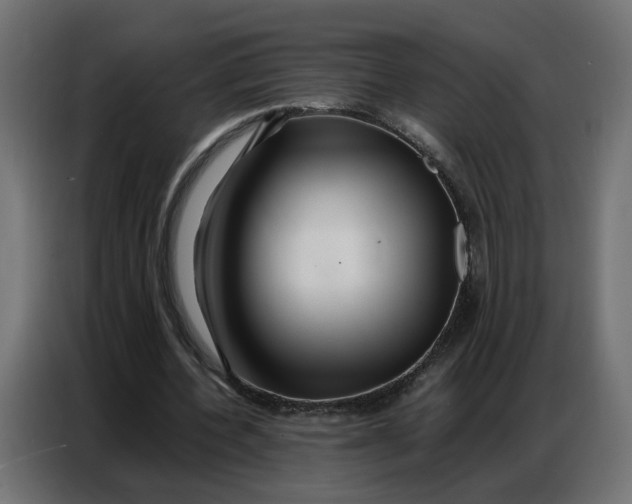 X0000086740532200705041409