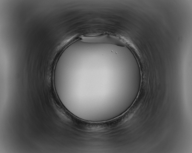 X0000086740533200705041409