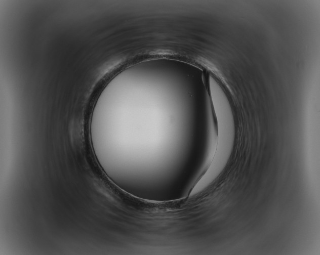 X0000086740535200705041409