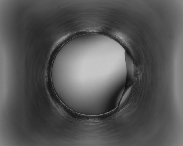 X0000086740536200705041409