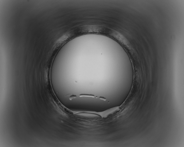 X0000086740537200705041409