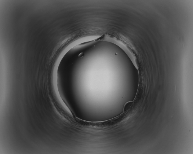 X0000086740538200705041409