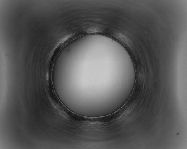 X0000086740539200705041409