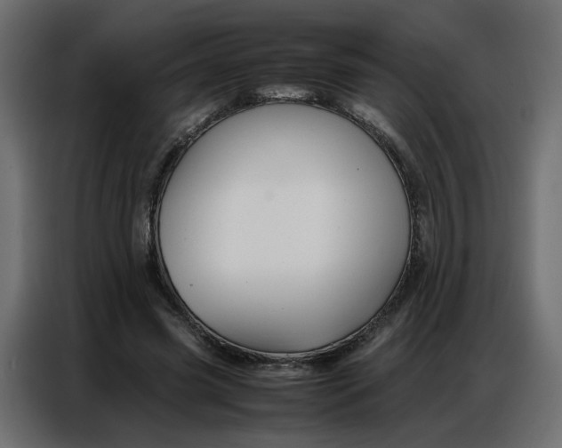 X0000086740541200705041409