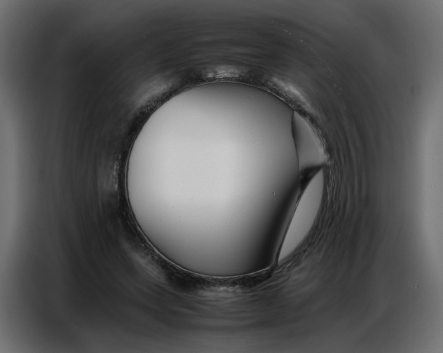 X0000086740543200705041409