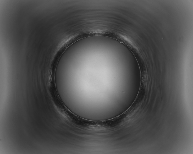 X0000086740544200705041409