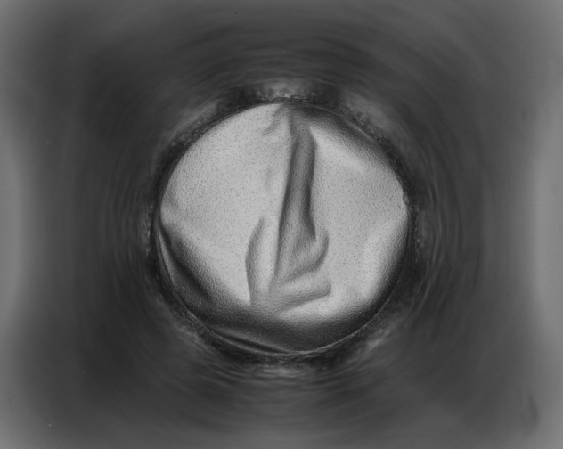 X0000086740545200705041409