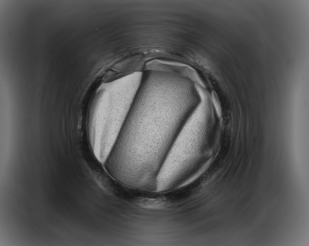 X0000086740548200705041409