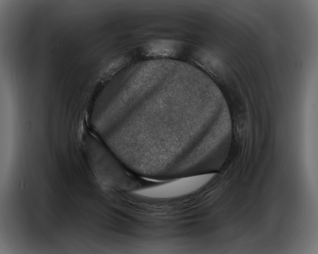 X0000086740551200705041409