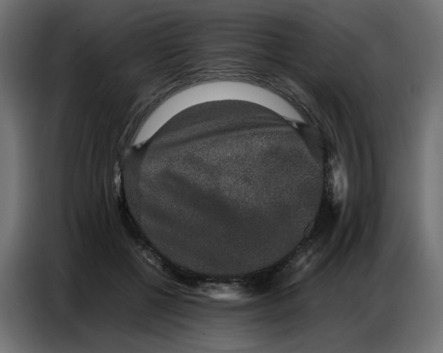 X0000086740552200705041409