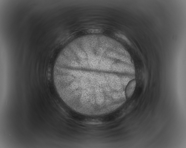 X0000086740553200705041409