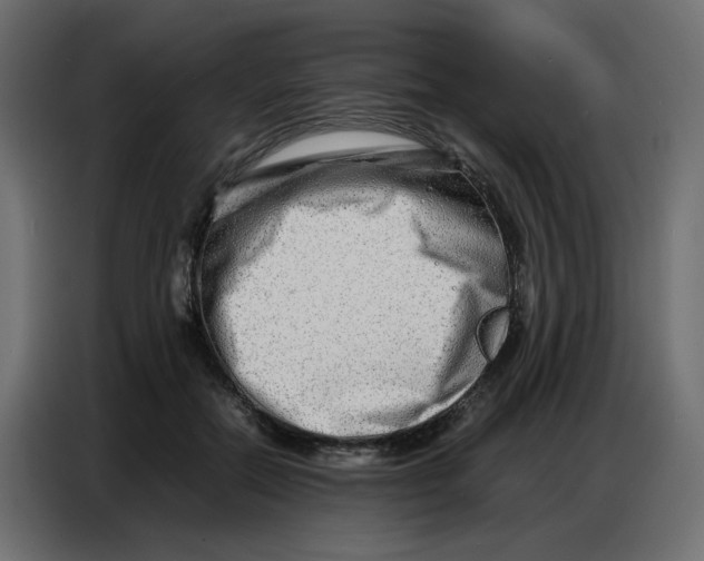 X0000086740554200705041410