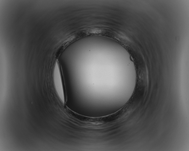 X0000086740555200705041410