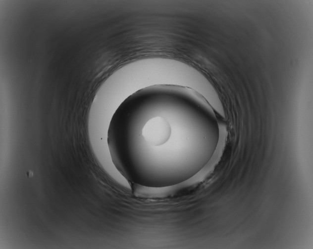 X0000086740556200705041410