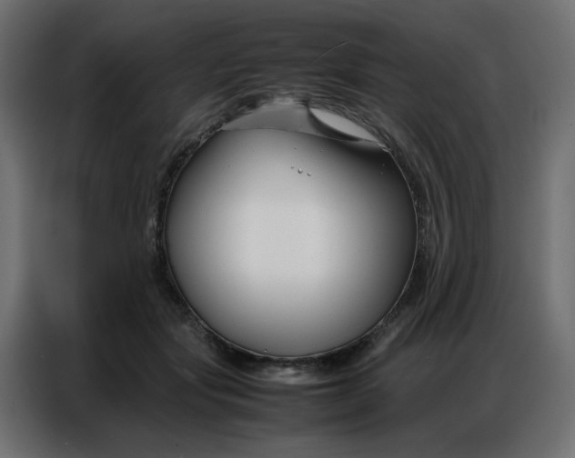 X0000086740557200705041410