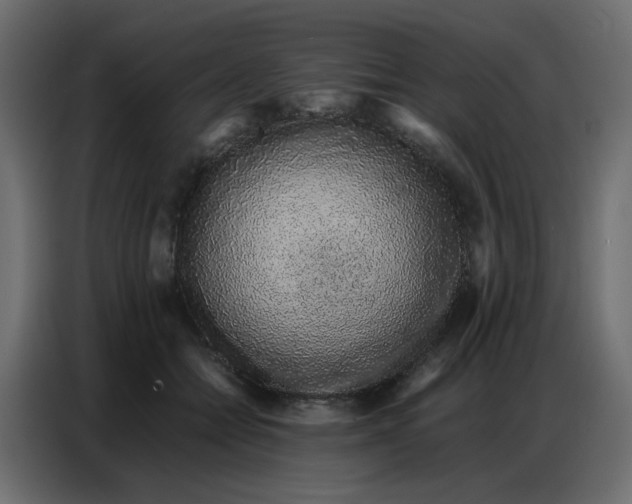 X0000086740558200705041410