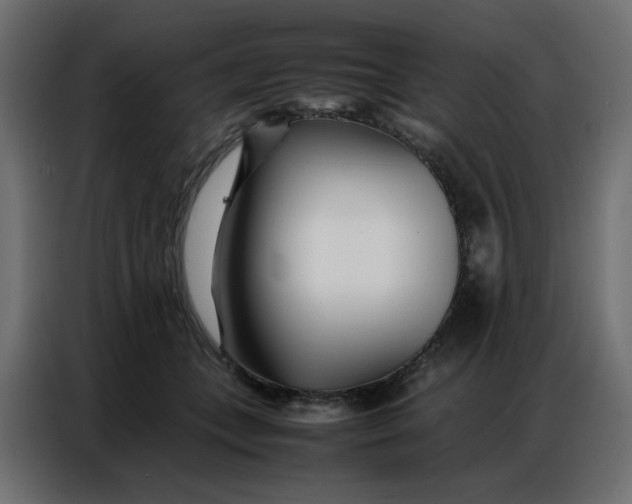 X0000086740559200705041410