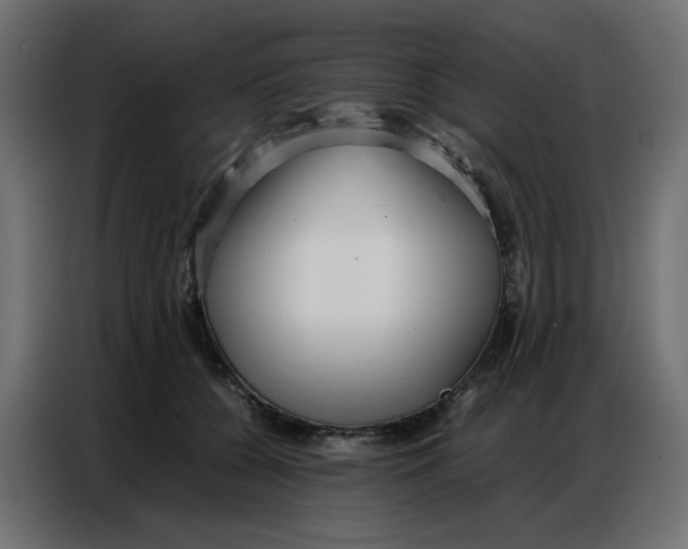 X0000086740560200705041410