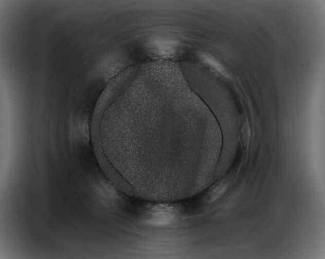 X0000086740562200705041410