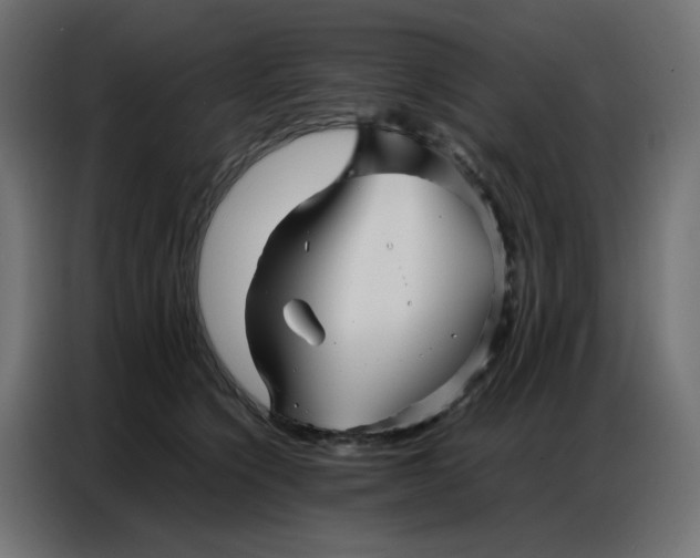 X0000086740564200705041410