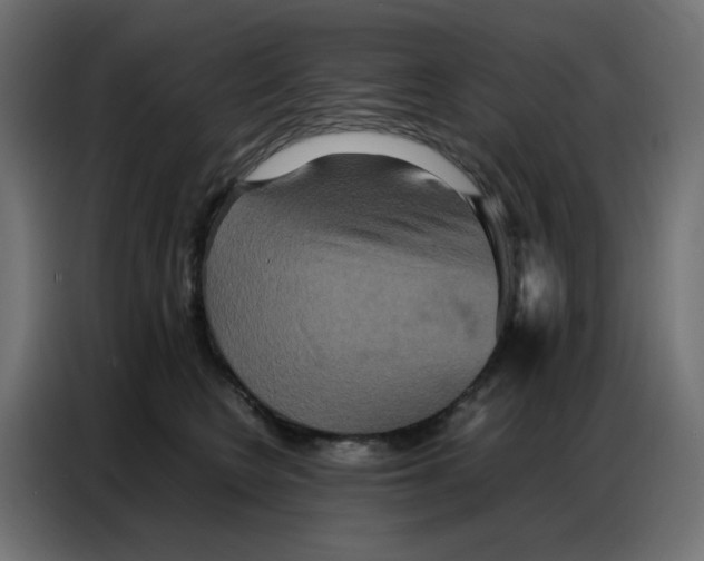 X0000086740566200705041410