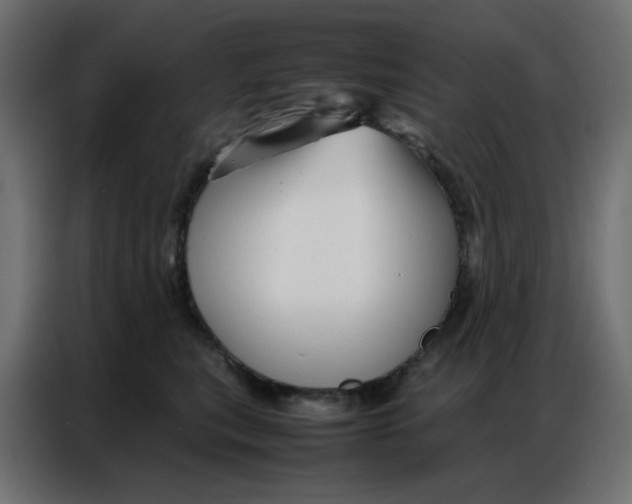 X0000086740567200705041410