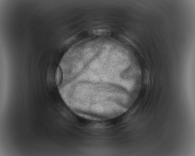 X0000086740569200705041410