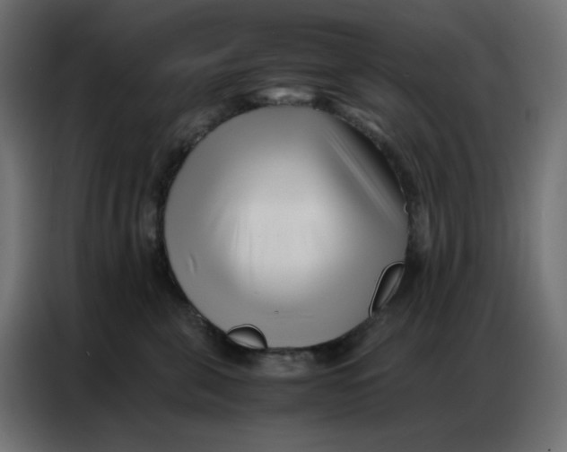 X0000086740571200705041410