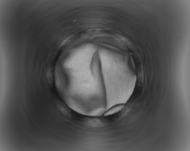 X0000086740572200705041410