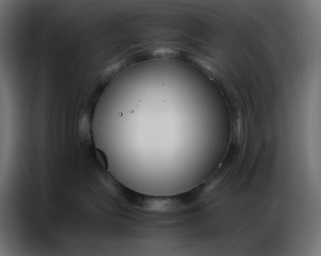 X0000086740575200705041410