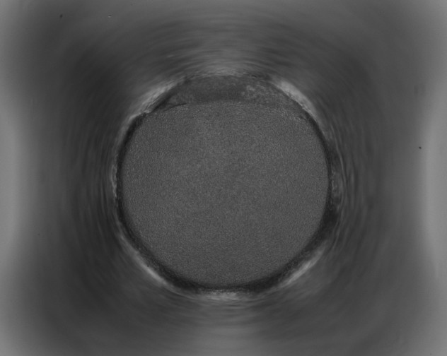 X0000086740581200705041409