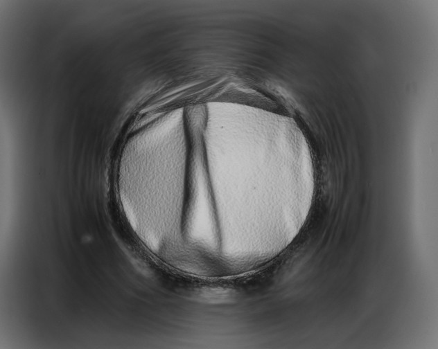 X0000086740586200705041409