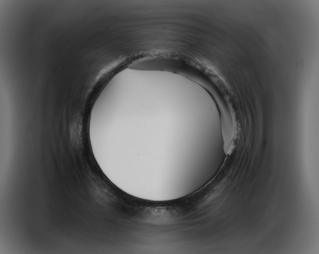 X0000086740588200705041409