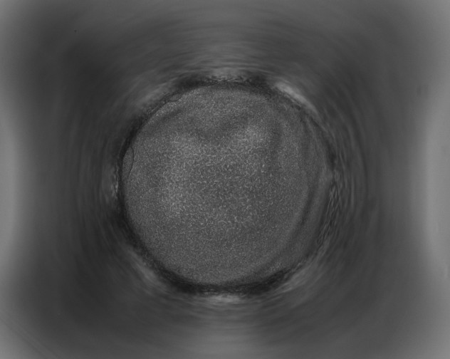 X0000086740593200705041409