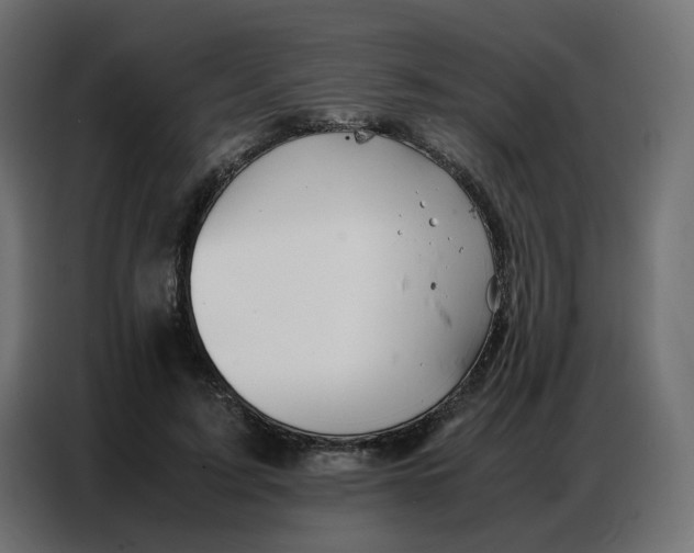 X0000086740595200705041409