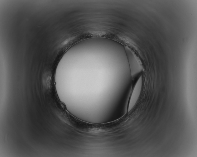 X0000086740596200705041409