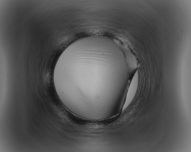 X0000086740597200705041409