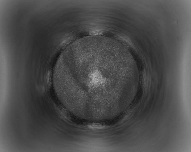 X0000086740598200705041409