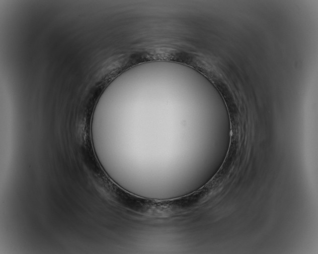 X0000086740599200705041409