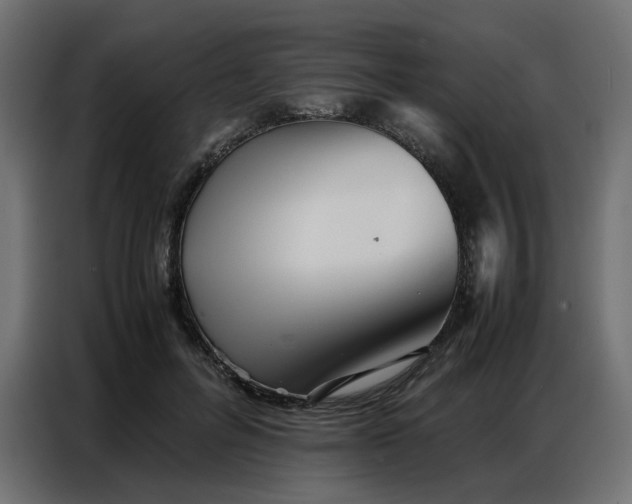 X0000086740600200705041409