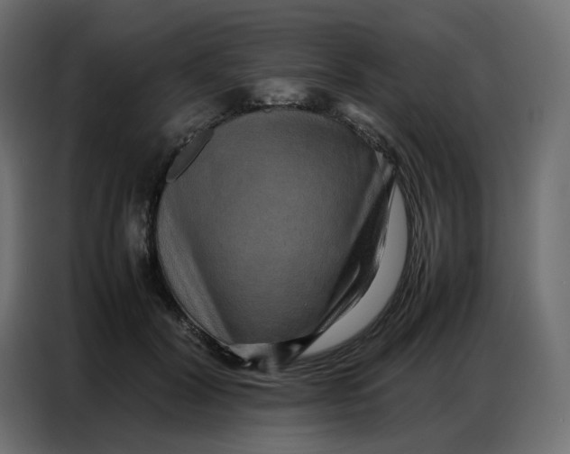 X0000086740604200705041409